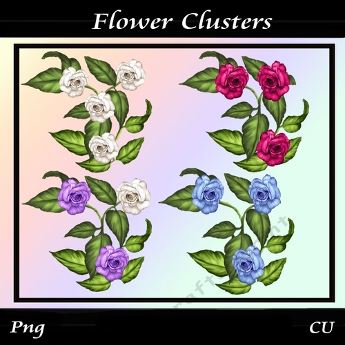 Flower Clusters 