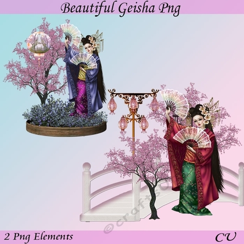 Beautiful Geisha Png