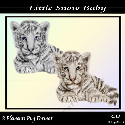 Little Snow baby Png