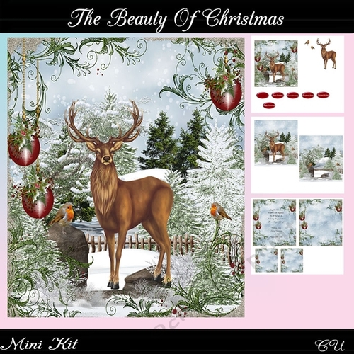 The Beauty of Christmas Mini Kit