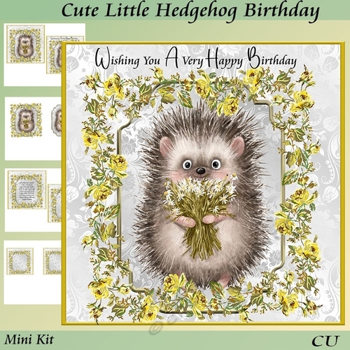 Cute Little Hedgehog Birthday Mini Kit 