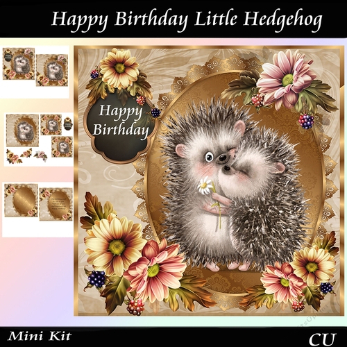 Happy Birthday Little Hedgehog Mini Kit