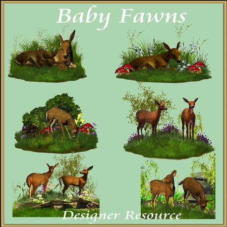 Baby Fawns
