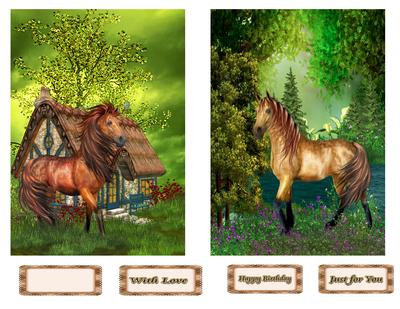 Horse Birthday
