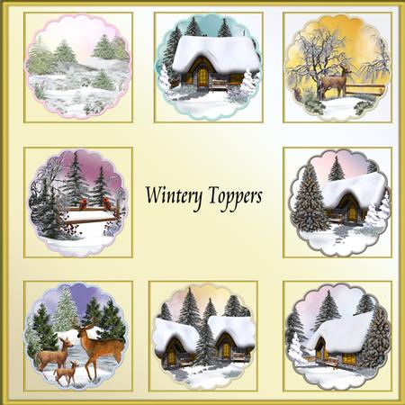 Wintery Toppers/inserts