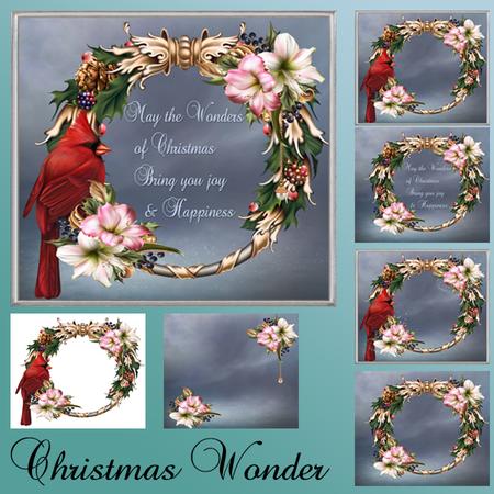 Christmas Wonder