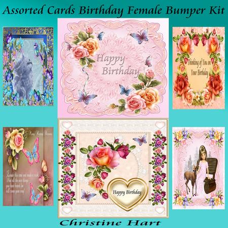 Assorted Cards Birthday Female Bumper Kit