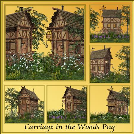Carriage in the Woods