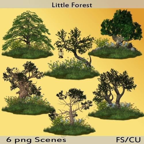 Little Forest