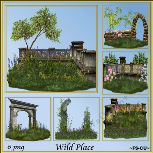 Wild Place