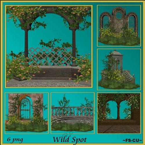 Wild Spot