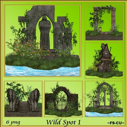 Wild Spot 1