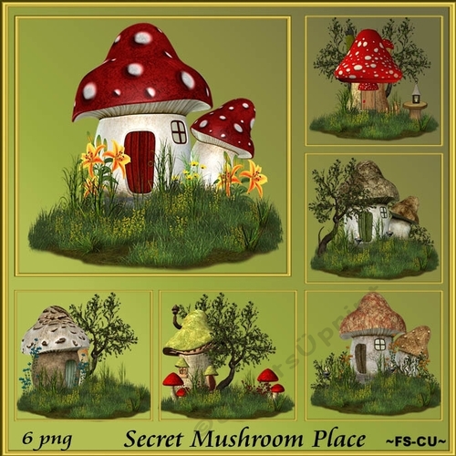 Secret Mushroom Place