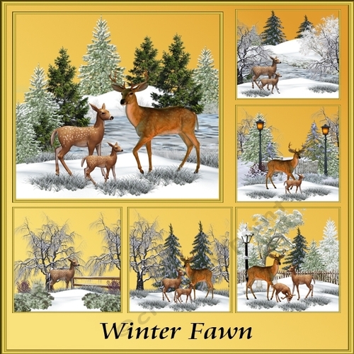 Winter Fawn 