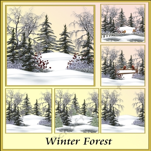 Winter Forest png