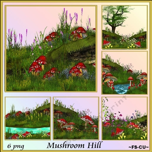 Mushroom Hill