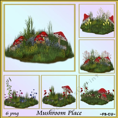 Mushroom Place