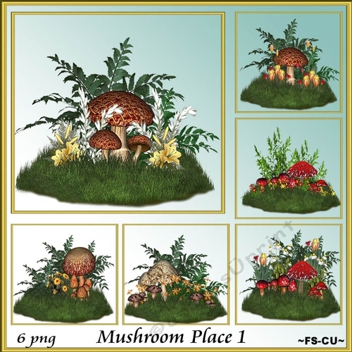 Mushroom Place 1