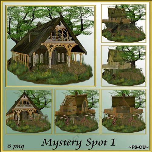 Mystery Spot 1
