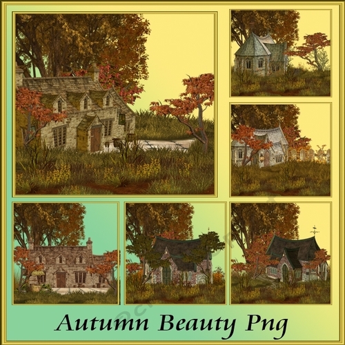 Autumn Beauty
