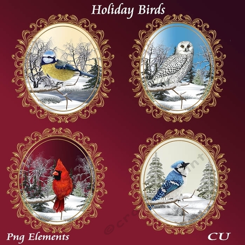 Holiday Birds