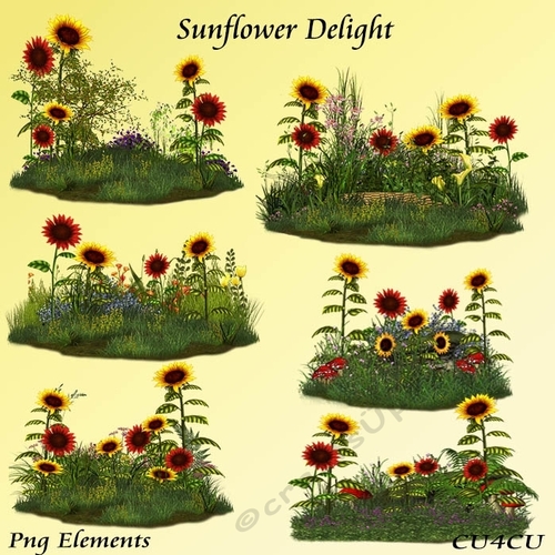Sunflower Delight