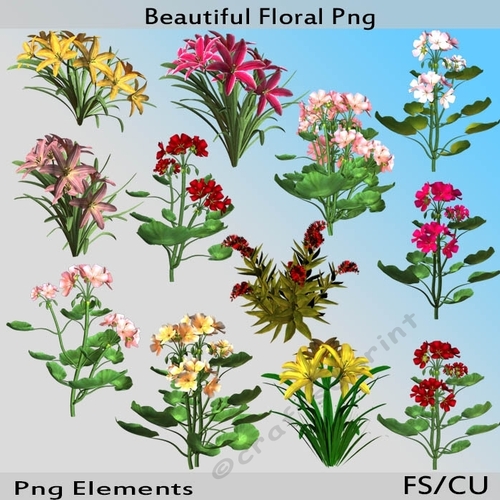 beautiful Floral