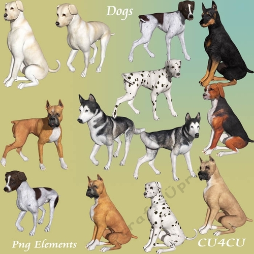 Dogs