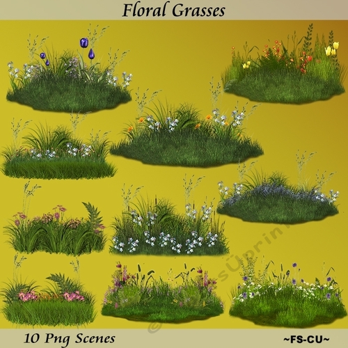 Floral Grasses