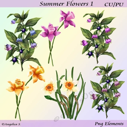 Summer Flowers 1