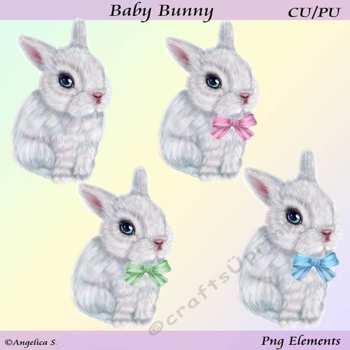Baby Bunny
