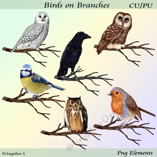 Birds on Branches