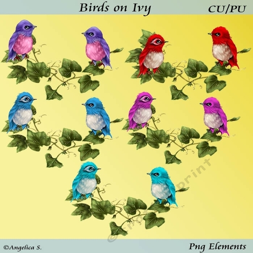 Birds on Ivy
