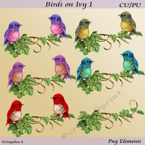 Birds on Ivy 1