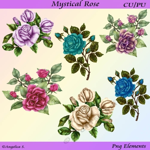 Mystical Rose