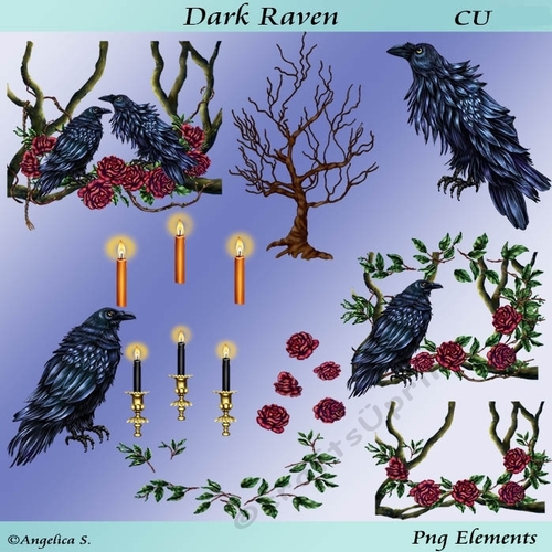 Dark Raven