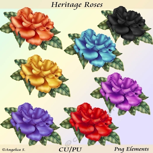 Heritage Roses