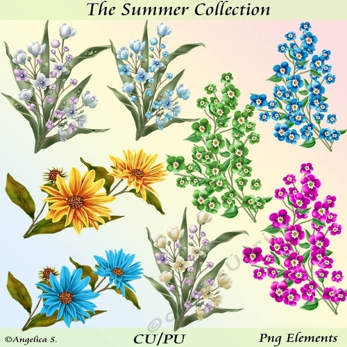 The Summer Collection