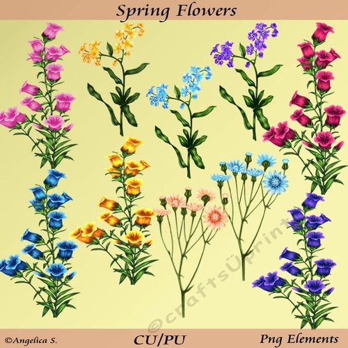 Spring Flowers