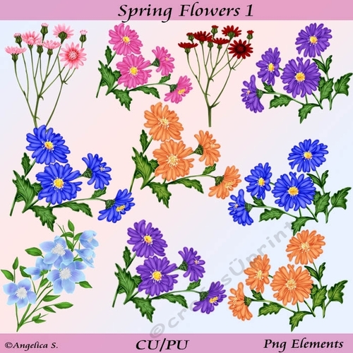 Spring Flowers 1