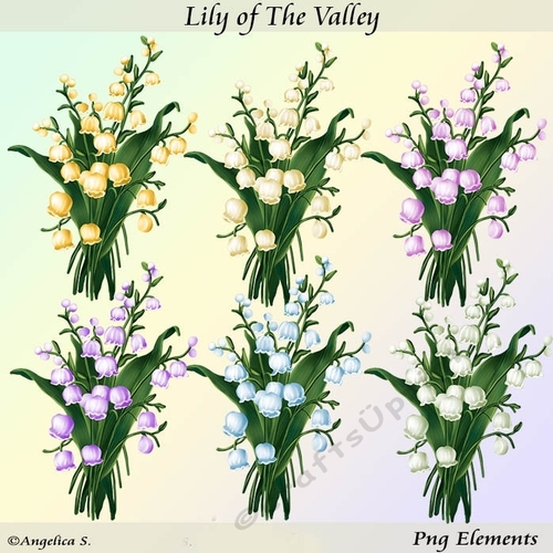 Lily of The Valley