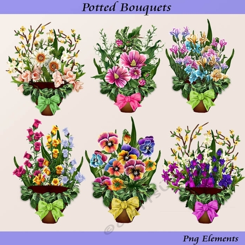 Potted Bouquets