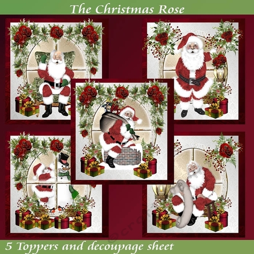 The Christmas Rose