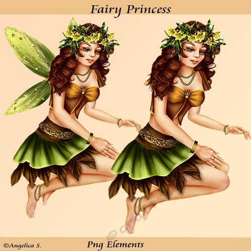 Fairy Princess 