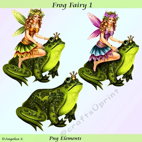 Frog Fairy 1 png