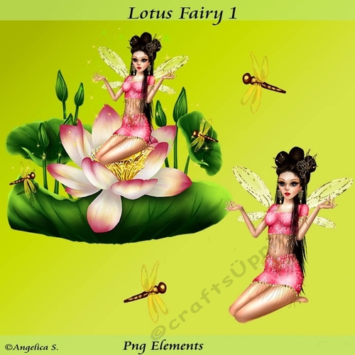 Lotus Fairy 1