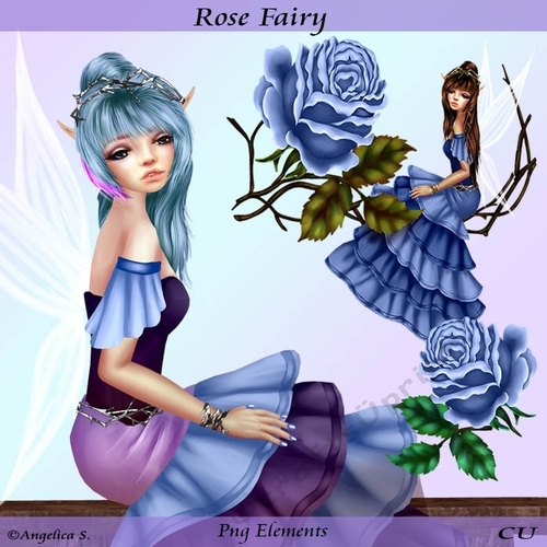 Rose Fairy