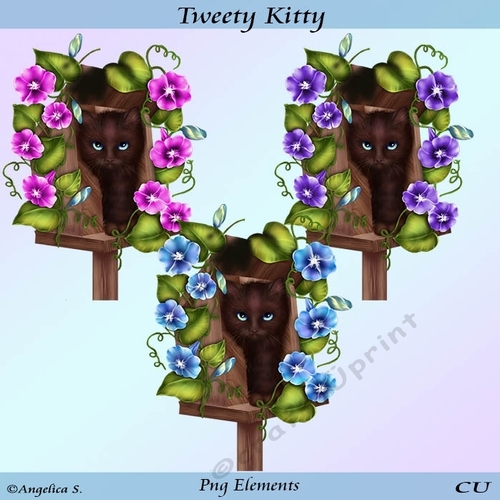 Tweety Kitty