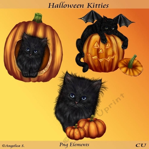 Halloween Kitties