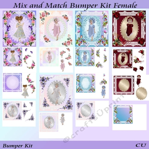 Mix and Match Bumper Kit Female